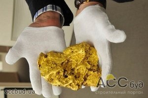 Компания "Надра Украины" стала главным претендентом на освоение залежей золота в Закарпатье!